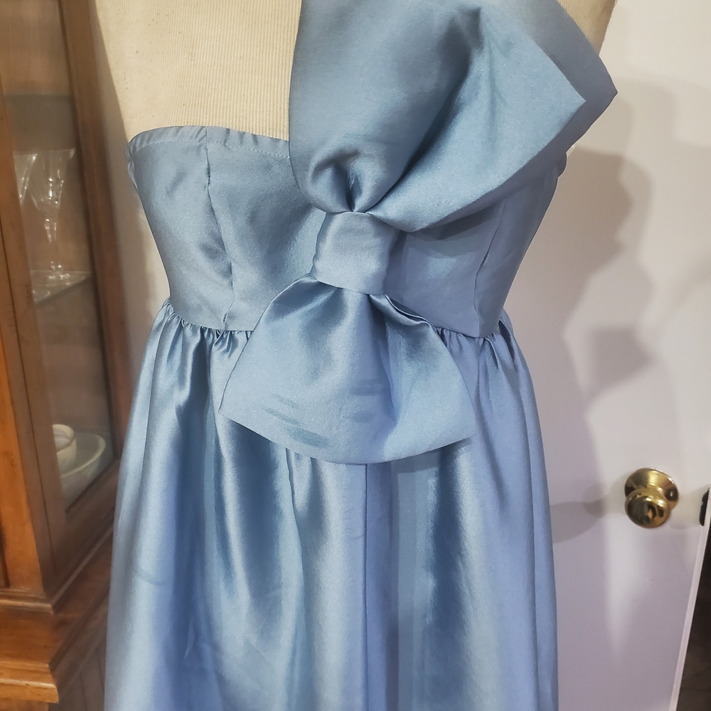 Petal & Pup Blue Maxi Dress - Picture 4 of 10